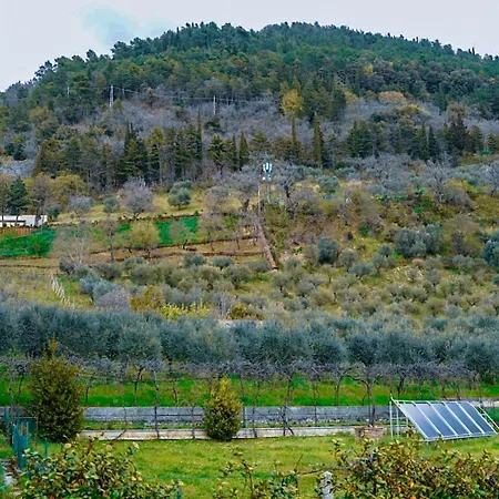 Living - By Angeloni Appartamento